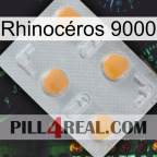 Rhinocéros 9000 24